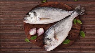 Omega-3 deposu! Buharda çipura